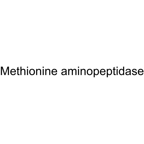 Methionine aminopeptidase 61229-81-0